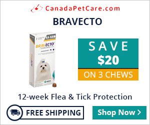 Affordable Pet Meds Without the Vet Markup