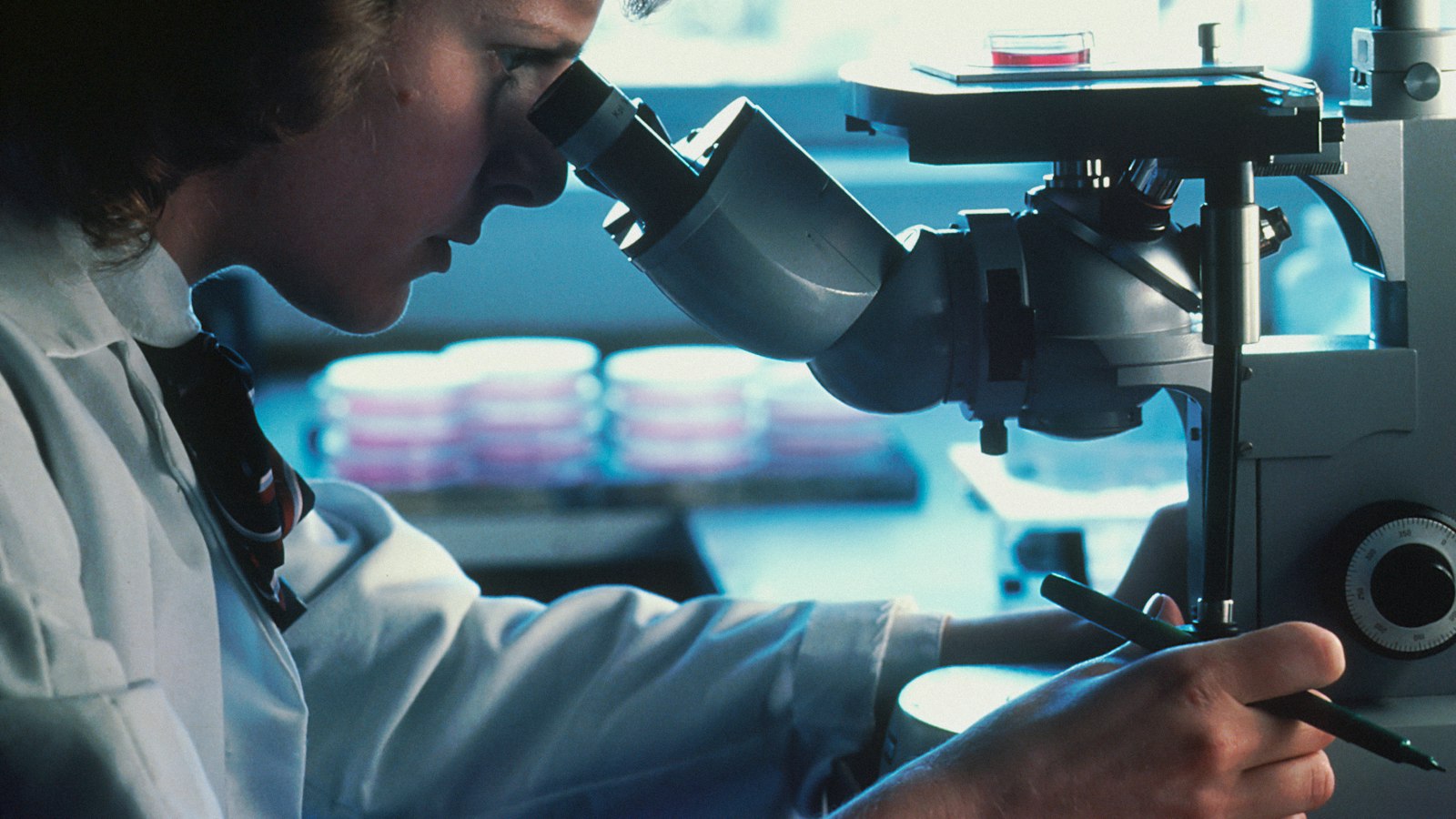Scientist looking through a microscope in a laboratory